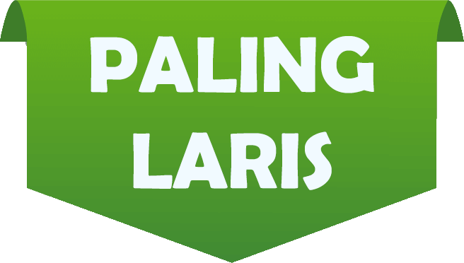 Omah Program Indonesia | Jasa Pembuatan Web dan Aplikasi Web